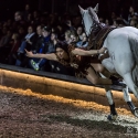 apassionata-arena-nuernberg-17-2-2018_0020