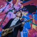 babyshambles-rock-im-park-2014-9-6-2014_0007