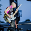 red-hot-chili-peppers-rock-im-park-2016-06-06-2016_0020