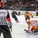 thomas-sabo-ice-tiger-vs-grizzlys-wolfsburg-arena-nuernberg-10-04-2016_0033