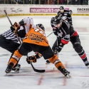 thomas-sabo-ice-tiger-vs-grizzlys-wolfsburg-arena-nuernberg-10-04-2016_0062